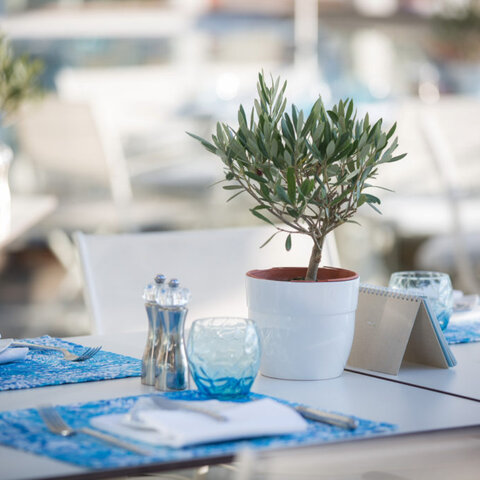 <p>Mediterran gedeckter Tisch mit Olivenbäumchen bei Werzer's Badehaus in Pörtschach am Wörthersee.</p>
